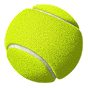 Palla tennis